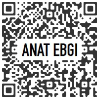 ANAT EBGI, Los Angeles CA U.S.A. - Jordan Nassar : We Are The Ones To Go To The Mountain - September 15 > October 27, 2020 @AnatEbgi