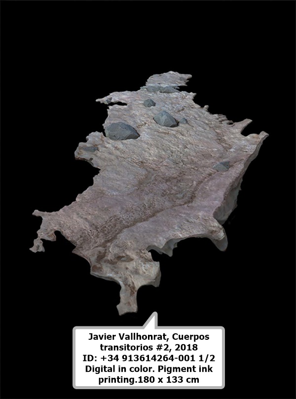 Javier Vallhonrat

Cuerpos transitorios #2, 2018

ID: +34 913614264-001

1/2
Digital in color. Pigment ink printing.

180 x 133 cm