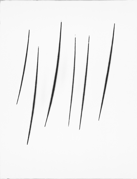 Musei Reali, Torino Italy