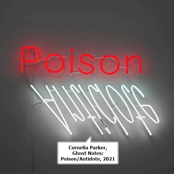 Cornelia Parker, Ghost Notes: Poison/Antidote, 2021
