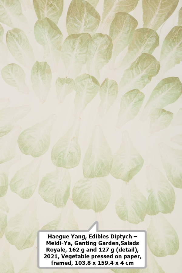 Haegue Yang, Edibles Diptych – Meidi-Ya, Genting Garden, Salads Royale, 162 g and 127 g (detail), 
2021, Vegetable pressed on paper, framed, 
103.8 x 159.4 x 4 cm