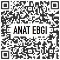 ANAT EBGI, Los Angeles CA U.S.A. - Jordan Nassar : A Sun To Come - February 12 > March 26, 2022 @AnatEbgi