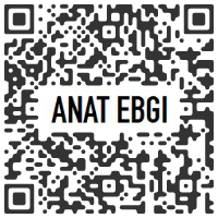 ANAT EBGI, Los Angeles CA U.S.A. - Sigrid Sandström : FIGURE GROUND - March 13 > April 24, 2021 @AnatEbgi