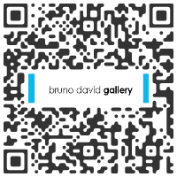 BRUNO DAVID GALLERY, St. Louis MO USA -  FOUR NEW EXHIBITIONS - November 2 > December 21, 2019 @bdavidgallery