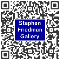Stephen Friedman Gallery London, UNITED KINGDOM - Luiz Zerbini : Fire - VIEWING ROOM - from 25 January, 2021 @SFGalleryLondon
