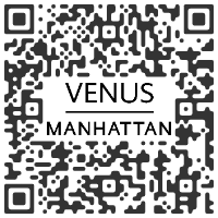 Venus Over Manhattan, New York NY U.S.A. - Joan Brown - November 18 >  December 23, 2020, 2020 @V_over_M