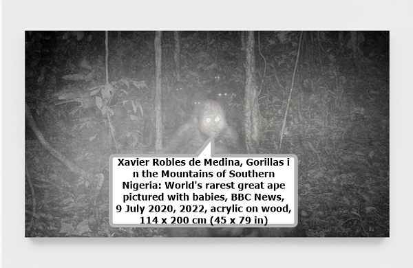 Xavier Robles de Medina, Gorillas in the Mountains of Southern Nigeria: World's rarest great ape pictured with babies, BBC News, 9 July 2020, 2022, acrylic on wood, 114 x 200 cm (45 x 79 in)