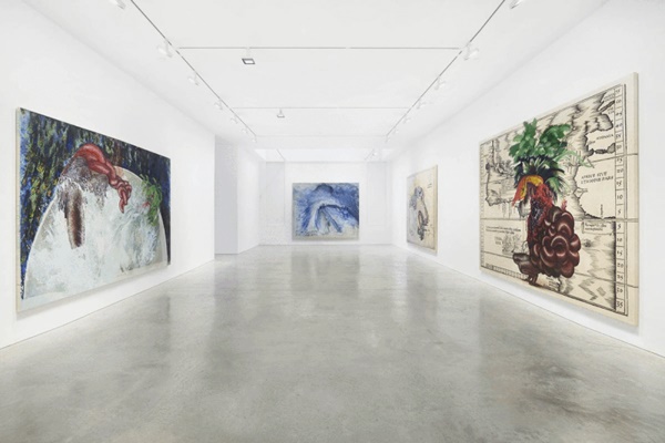 FIRELEI BÁEZ
 Installation view