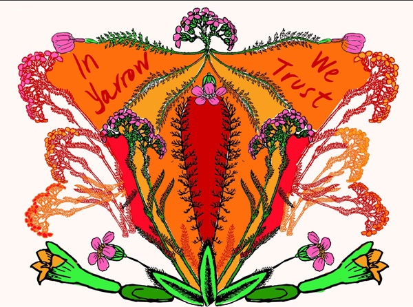 Carolina Caycedo : In Yarrow We Trust