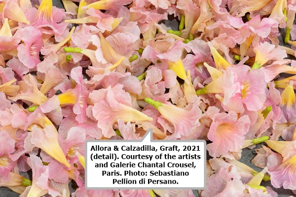 Allora & Calzadilla, Graft, 2021 (detail). Courtesy of the artists and Galerie Chantal Crousel, Paris. Photo: Sebastiano Pellion di Persano.