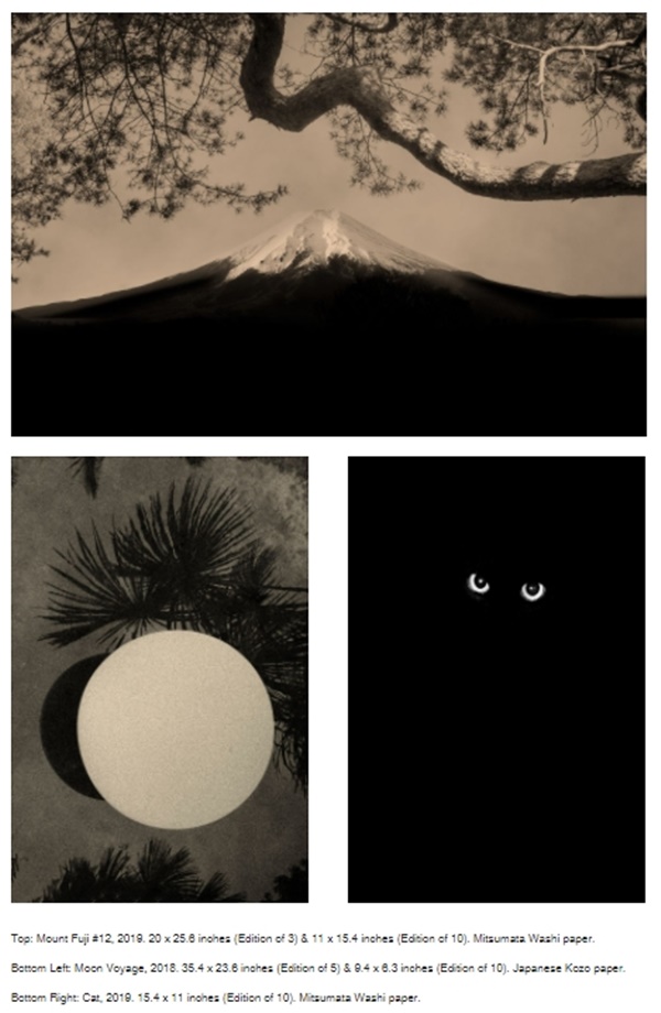 Danziger, New York NY U.S.A. - Paul Cupido