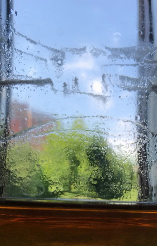 Mario Airò : THE WHITE BAT