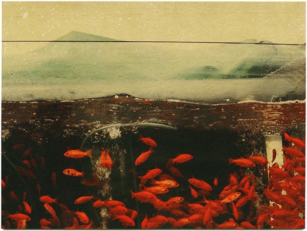 Galleria de'Foscherari, Bologna - Art Verona 2019 - Albarran Cabrera