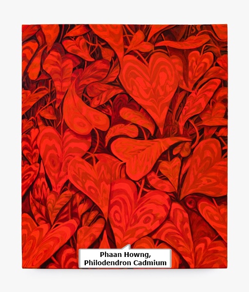 Phaan Howng, Philodendron Cadmium