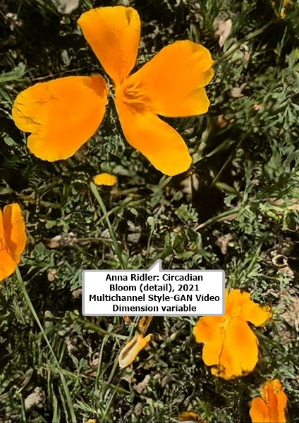Anna Ridler: Circadian Bloom (detail), 2021
Multichannel Style-GAN Video
Dimension variable