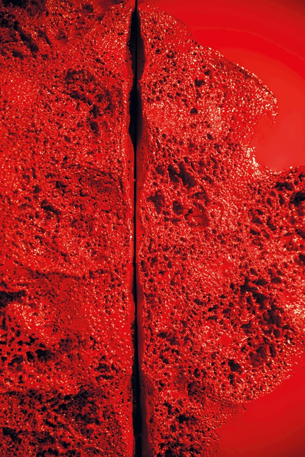 Beatrice Gallori, SO THIS IS life