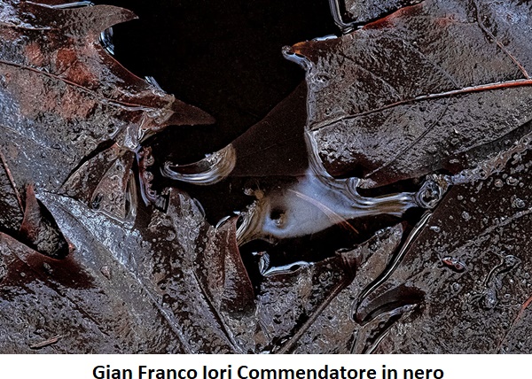 click to enlarge- double click to reduce