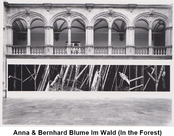 Anna & Bernhard Blume Im Wald (In the Forest)