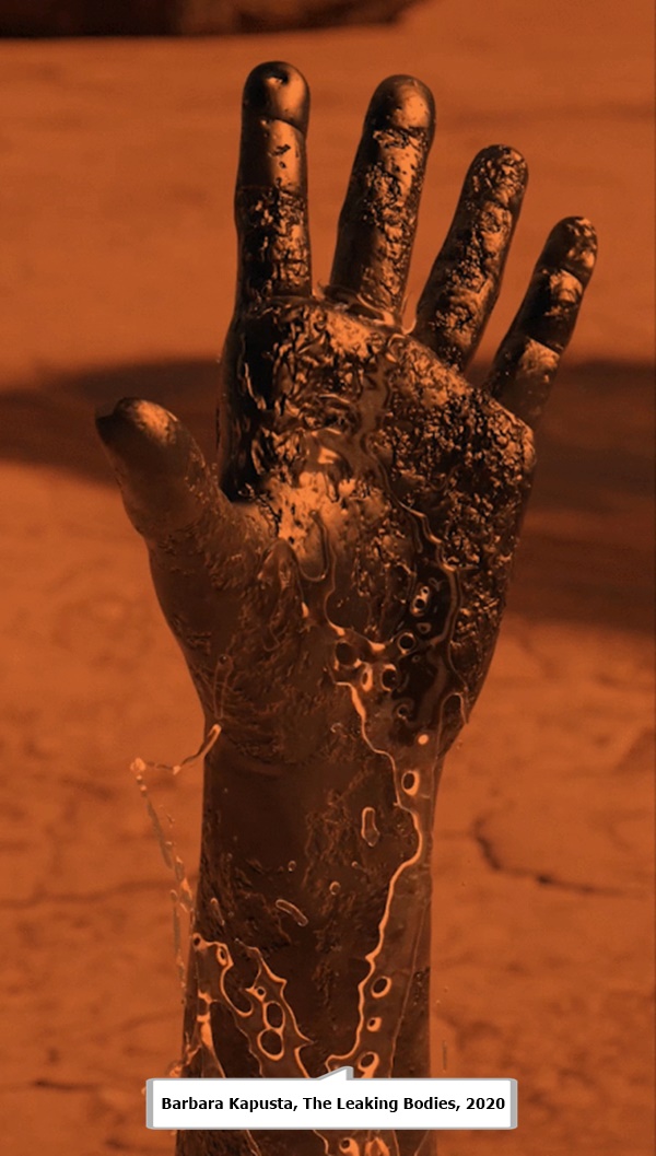 Barbara Kapusta, The Leaking Bodies, 2020