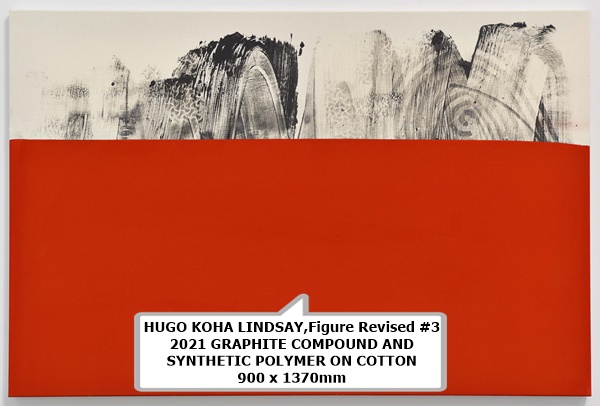HUGO KOHA LINDSAY,Figure Revised #3 
2021 GRAPHITE COMPOUND AND SYNTHETIC POLYMER ON COTTON900 x 1370mm 