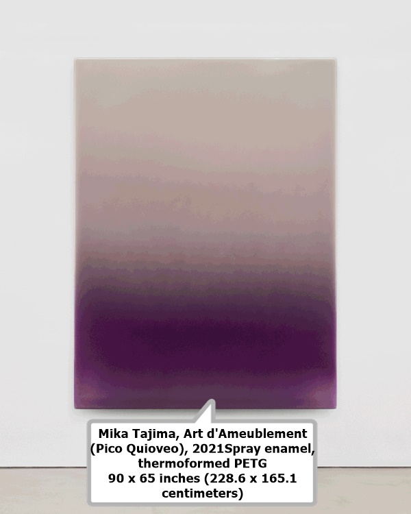 Mika Tajima, Art d'Ameublement 
(Pico Quioveo), 2021Spray enamel, 
thermoformed PETG  
90 x 65 inches (228.6 x 165.1 
centimeters)