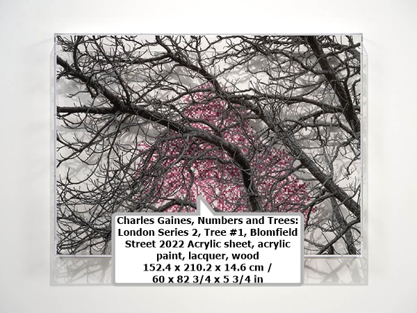 Charles Gaines, Numbers and Trees: London Series 2, Tree #1, Blomfield Street
2022
Acrylic sheet, acrylic paint, lacquer, wood
152.4 x 210.2 x 14.6 cm / 60 x 82 3/4 x 5 3/4 in