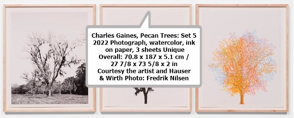 Charles Gaines
Pecan Trees: Set 5
2022
Photograph, watercolor, ink on paper, 3 sheets
Unique
Overall: 70.8 x 187 x 5.1 cm / 27 7/8 x 73 5/8 x 2 in
    • Charles Gaines
Courtesy the artist and Hauser & Wirth
Photo: Fredrik Nilsen
