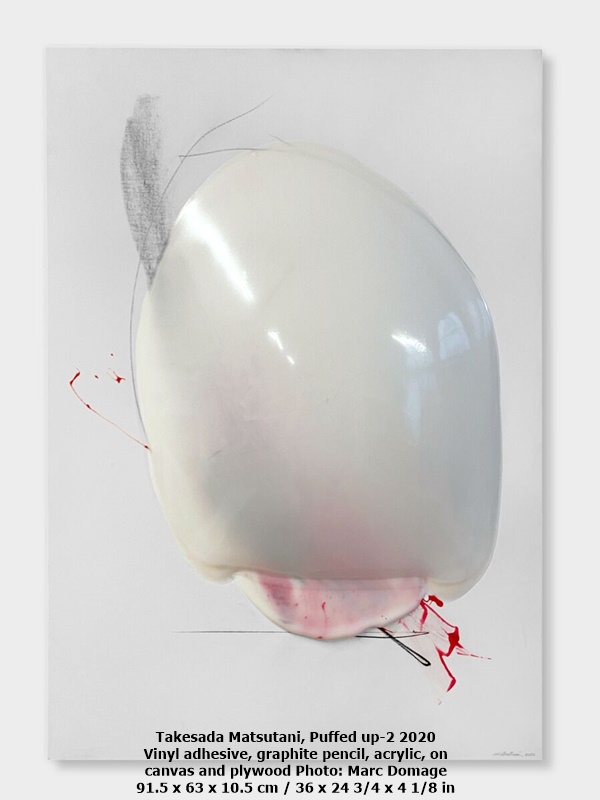Takesada Matsutani, Puffed up-2 2020
Vinyl adhesive, graphite pencil, acrylic, on
canvas and plywood Photo: Marc Domage
91.5 x 63 x 10.5 cm / 36 x 24 3/4 x 4 1/8 in
