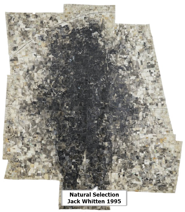 Natural Selection
Jack Whitten
1995