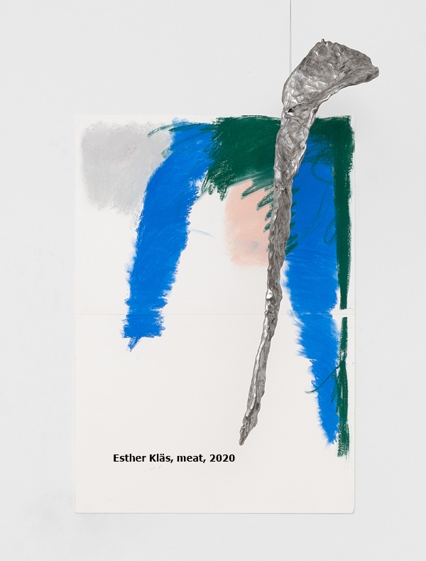 Esther Kläs, meat, 2020