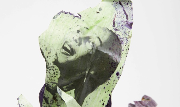 Kandis Williams : A field, work detail, 2020