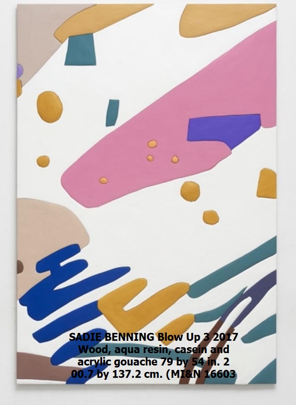 SADIE BENNING
Blow Up 3
2017
Wood, aqua resin, casein and acrylic gouache
79 by 54 in. 200.7 by 137.2 cm.
(MI&N 16603
