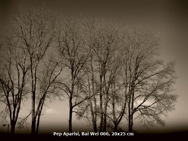 Pep Aparisi, Bai Wei 006, 20x25 cm