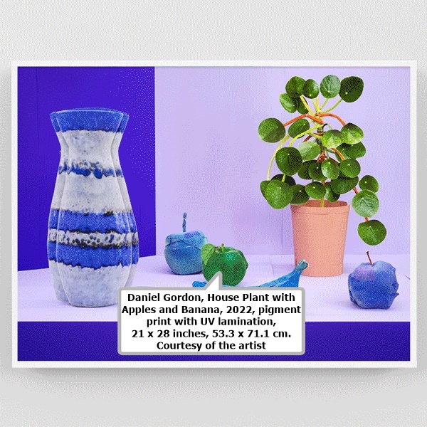 Daniel Gordon, House Plant with Apples and Banana, 2022, pigment print with UV lamination, 21 x 28 inches, 53.3 x 71.1 cm. Courtesy of the artist