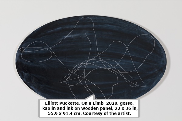 Elliott Puckette, On a Limb, 2020, gesso, kaolin and ink on wooden panel, 22 x 36 in, 55.9 x 91.4 cm. Courtesy of the artist.