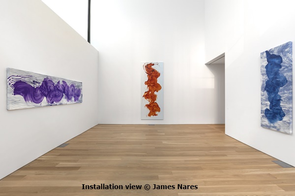 Installation view © James Nares