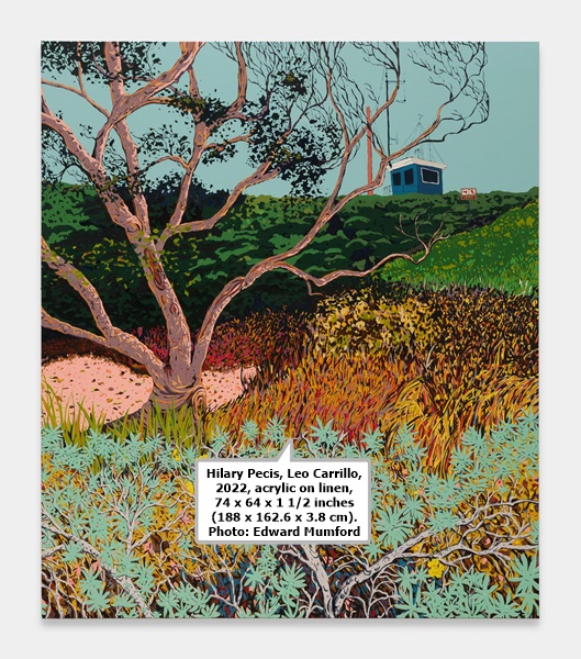 Hilary Pecis, Leo Carrillo, 2022, acrylic on linen, 74 x 64 x 1 1/2 inches (188 x 162.6 x 3.8 cm). Photo: Edward Mumford 