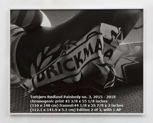 Torbjørn Rødland
Painbody no. 3, 2015 - 2018
chromogenic print
43 3/8 x 55 1/8 inches
(110 x 140 cm)
framed:
44 1/8 x 55 7/8 x 2 inches
(112.1 x 141.9 x 5.1 cm)
Edition 2 of 3, with 1 AP

