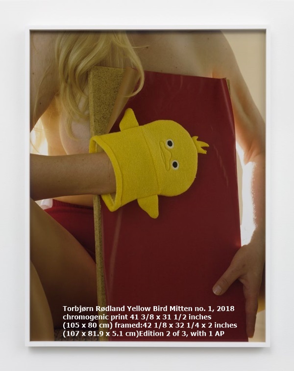 Torbjørn Rødland
Yellow Bird Mitten no. 1, 2018
chromogenic print
41 3/8 x 31 1/2 inches
(105 x 80 cm)
framed:
42 1/8 x 32 1/4 x 2 inches
(107 x 81.9 x 5.1 cm)
Edition 2 of 3, with 1 AP
(Inv# TR 18.129.2)