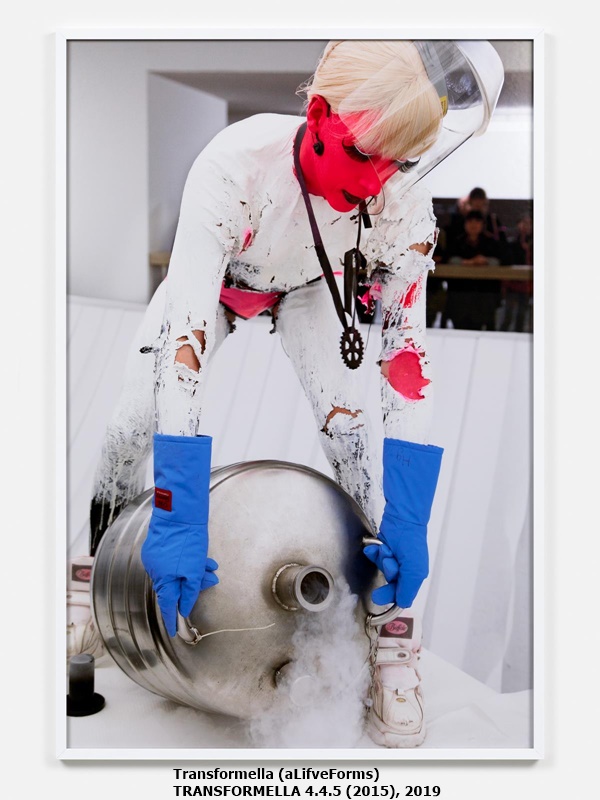 Transformella (aLifveForms)
TRANSFORMELLA 4.4.5 (2015), 2019