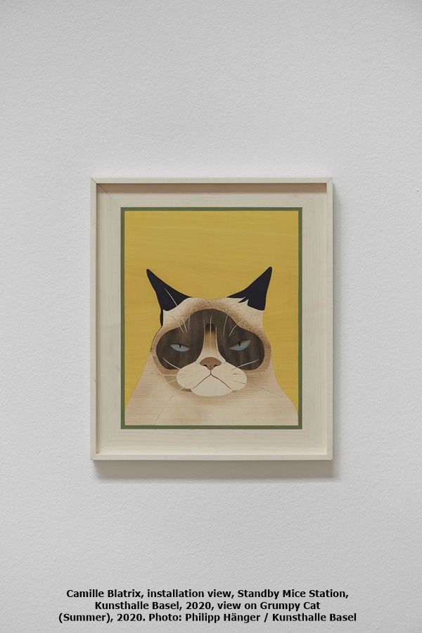 Camille Blatrix, installation view, Standby Mice Station, Kunsthalle Basel, 2020, view on Grumpy Cat (Summer), 2020. Photo: Philipp Hänger / Kunsthalle Basel