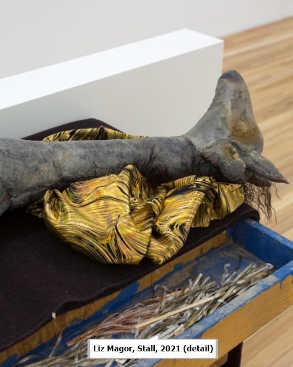 Liz Magor, Stall, 2021 (detail)