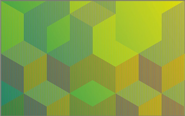 Sandi Renko : L’Ambiguita’ della Percezione