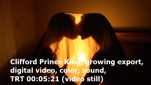 Clifford Prince King, growing export, digital video, color, sound, TRT 00:05:21 (video still)