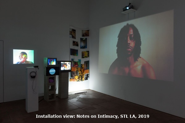 Shoot The Lobster, Los Angeles CA USA - Installation view: Notes on Intimacy, STL LA, 2019