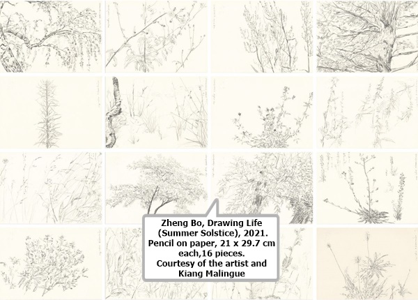 Zheng Bo, Drawing Life (Summer Solstice), 2021. Pencil on paper, 21 x 29.7 cm each,16 pieces.
Courtesy of the artist and Kiang Malingue.