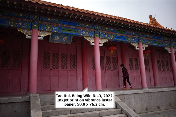 Tao Hui, Being Wild No.3, 2022. Inkjet print on vibrance luster paper, 50.8 x 76.2 cm.
