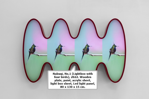 Nabuqi, No.1 (Lightbox with four birds), 2022. 
Wooden plate, paint, acrylic sheet, light box sheet, Led light panel, 80 x 130 x 15 cm.