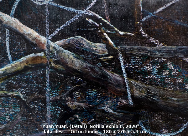 Yuan Yuan, (Detail) 'Gorilla exhibit', 2020