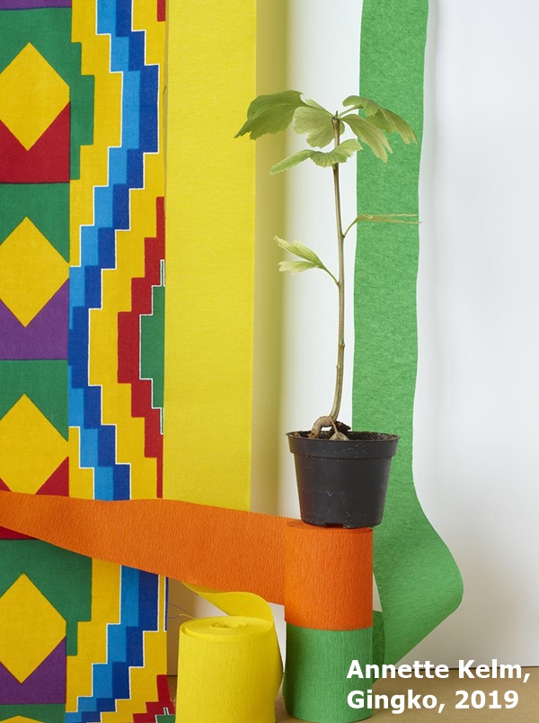 Annette Kelm, Gingko, 2019